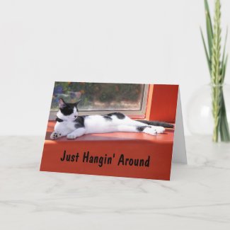 Custom Photo Thinking of You Black White Kitty