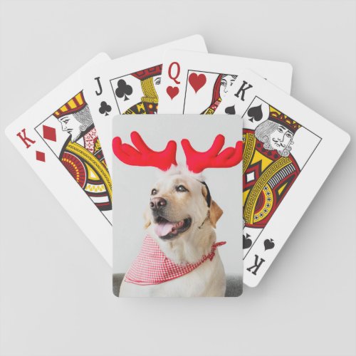 Custom Photo Upload Design Your Own My Picture Dog Poker Cards