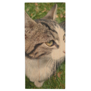 Custom photo USB flash drive Add your image here