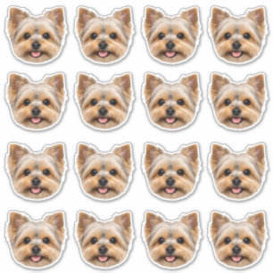 Custom Photo Waterproof Vinyl  Sticker