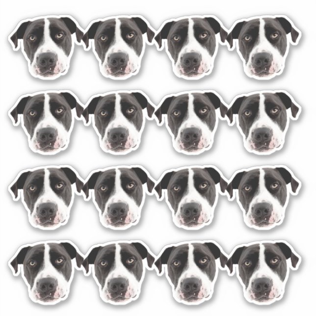 Custom Photo Waterproof Vinyl Stickers (Front)