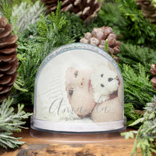 Custom Photo with Custom Name and Text Snow Globe