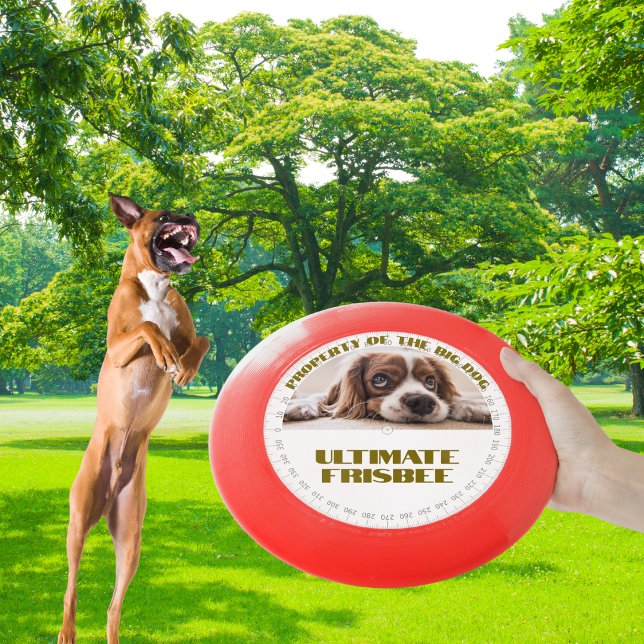 Custom Photo with Half Text Speed Dial Design Wham-O Frisbee (This design will get your dog excited with his own custom frisbee to catch.)