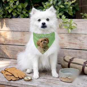 Custom Photo With Your Pet Dog Name Picture On Bandana Collar