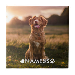 Custom Photo With Your Pet Dog Name Picture On Ceramic Tile