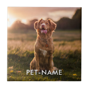 Custom Photo With Your Pet Dog Name Picture On Ceramic Tile