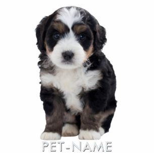 Custom Photo With Your Pet Dog Name Picture On Cutout