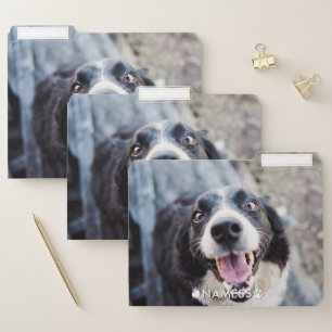 Custom Photo With Your Pet Dog Name Picture On File Folder