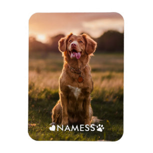 Custom Photo With Your Pet Dog Name Picture On Magnet