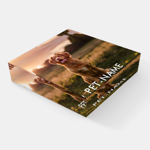 Custom Photo With Your Pet Dog Name Picture On Paperweight