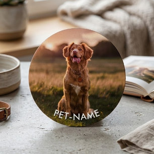Custom Photo With Your Pet Dog Name Picture On Patch