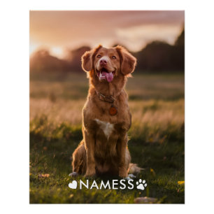Custom Photo With Your Pet Dog Name Picture On Poster