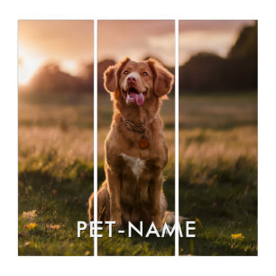 Custom Photo With Your Pet Dog Name Picture On Triptych