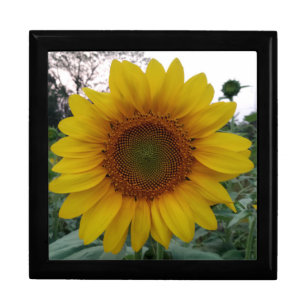 Custom Photo Wooden Keepsake Jewelry Storage Box