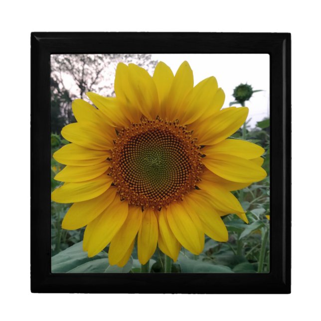 Custom Photo Wooden Keepsake Jewelry Storage Box (Front)