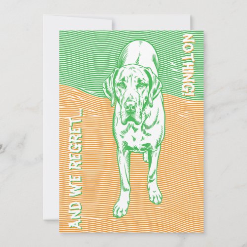 Custom Photography Greeting Card No Baby Maritim