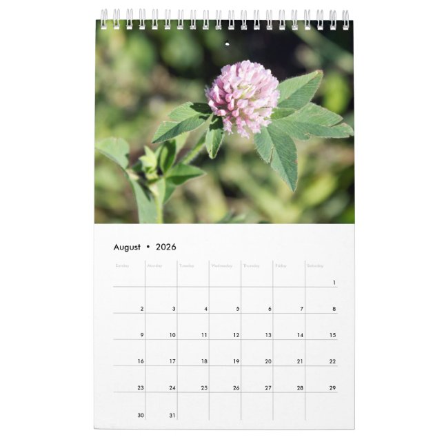 Custom Photography Wall Calendar (Aug 2026)