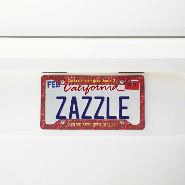 Custom Picture and Text Personalized License Plate Frame (On Car)