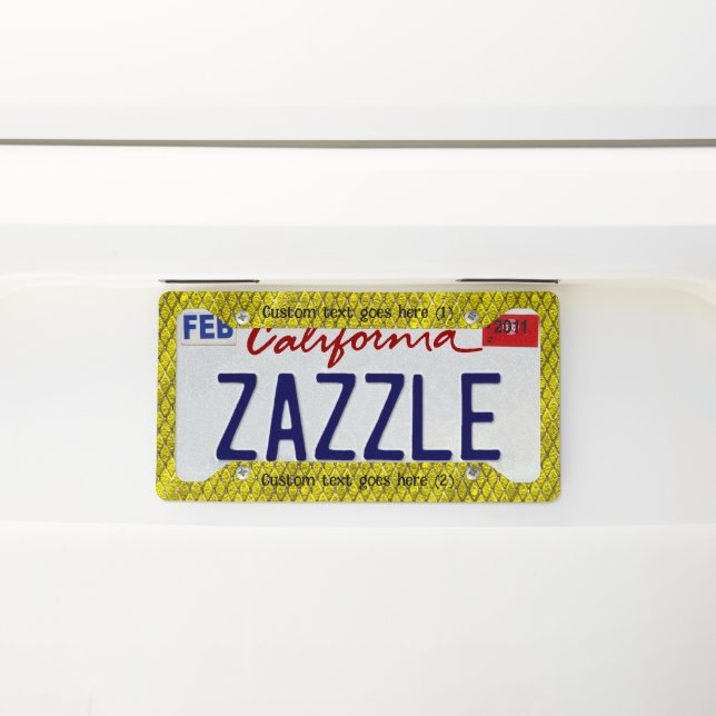 Custom Picture and Text Personalized License Plate License Plate Frame (On Car)