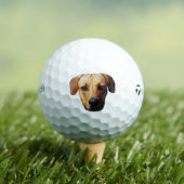 Custom Picture Golf Balls With Dog Face | Zazzle