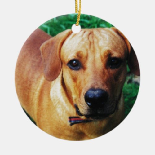 Custom Picture Personalized 2 Sided Photo Ceramic Ornament