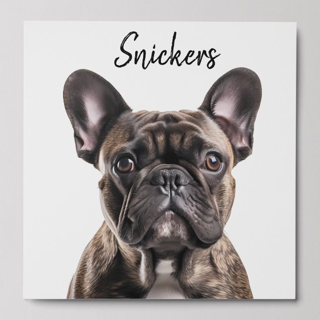 Custom Picture Pet Dog Cat Personalized name Peel And Stick Photo Tile (Front Set)