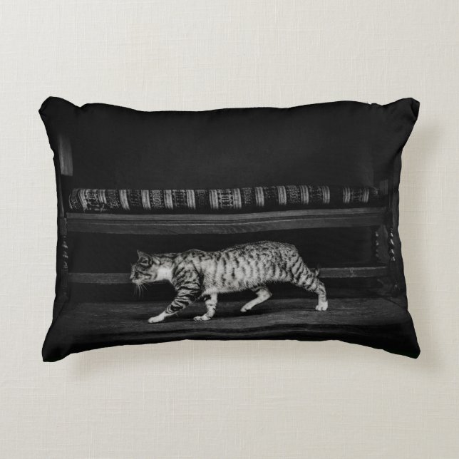 Custom pillow with cat photo (Front)