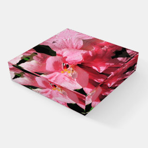 Custom Pink Hibiscus Glass Paperweight