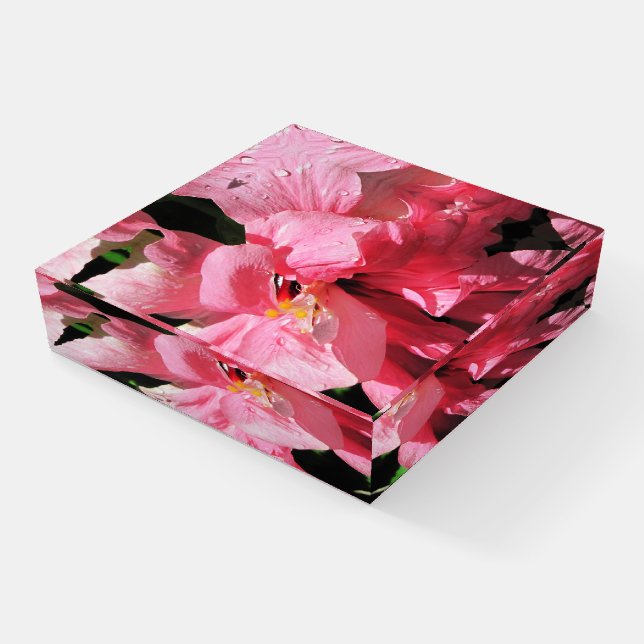 Custom Pink Hibiscus Glass Paperweight (Angled)