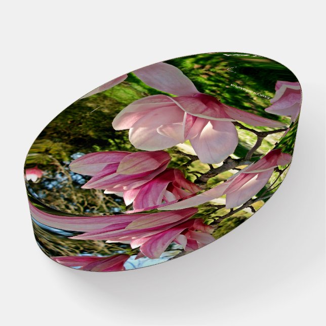 Custom Pink Magnolia Blossom Photo  Paperweight (Angled)
