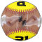 Custom Player Photo, Position and Number Fastpitch