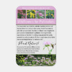 Custom Pollinator Habitat Add Your Own Photos