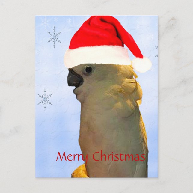 Custom Posing santa holiday Cockatoo bird Postcard (Front)