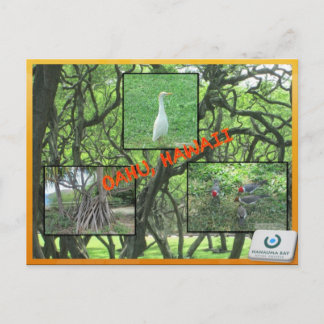 CUSTOM POSTCARDS- HAWAII COLLAGE# 14 POSTCARD