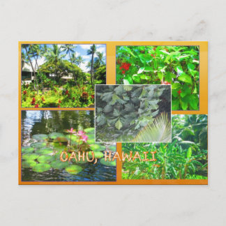 CUSTOM POSTCARDS- HAWAII COLLAGE# 16 POSTCARD