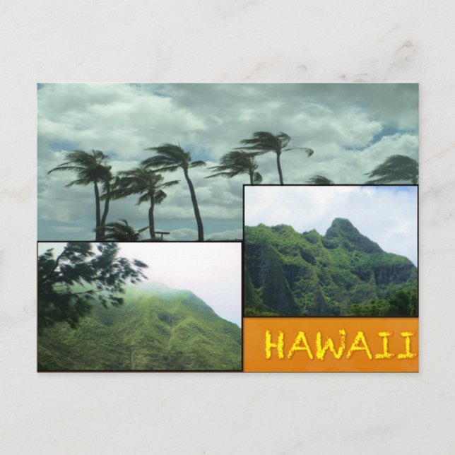 CUSTOM POSTCARDS- HAWAII COLLAGE# 24 POSTCARD (Front)