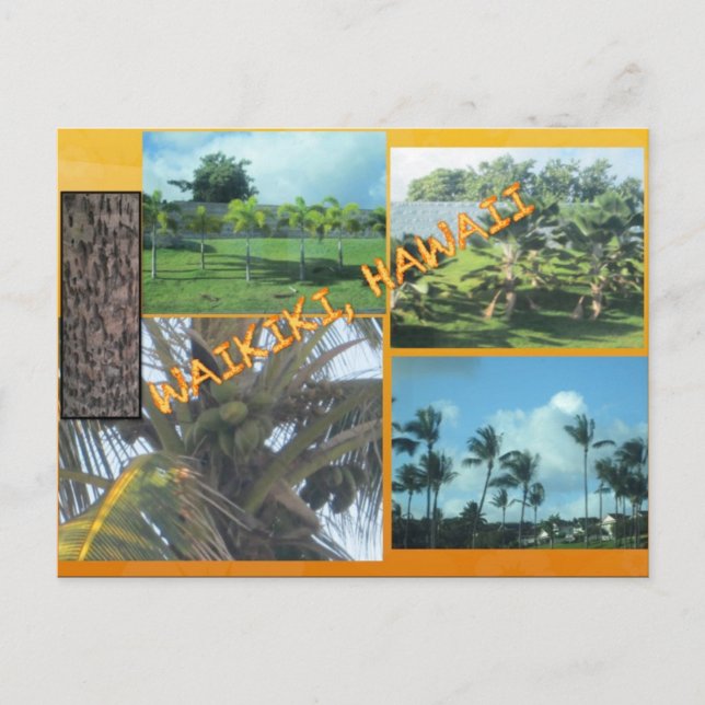 CUSTOM POSTCARDS- HAWAII COLLAGE# 9 POSTCARD (Front)