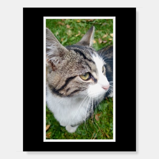 Custom presentation foam board with black border (Front)