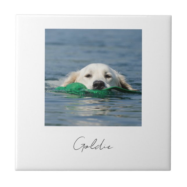 Custom print personalized ceramic dog photo tile (Front)