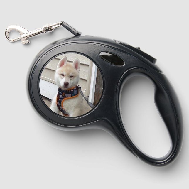 Custom print retractable dog leash (Front)