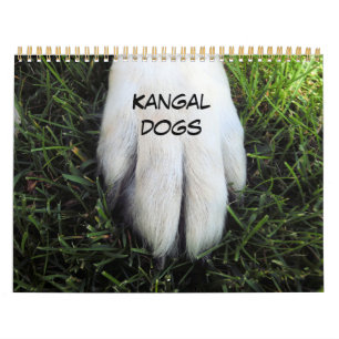 Custom Printed Calendar