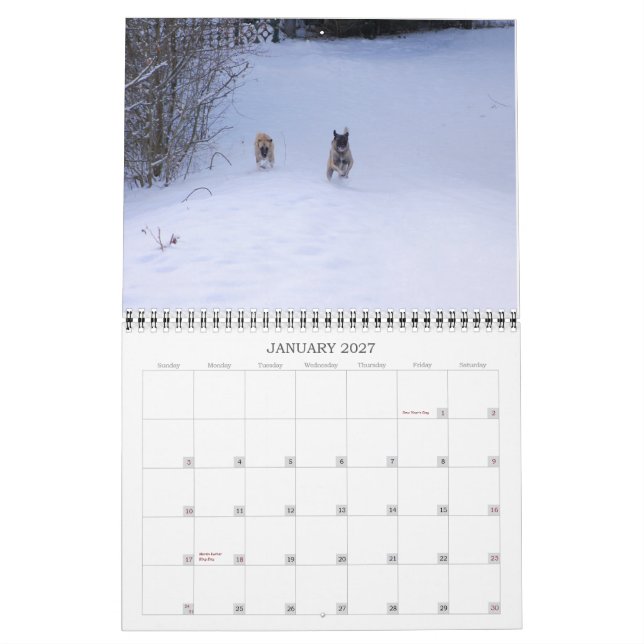 Custom Printed Calendar (Jan 2027)