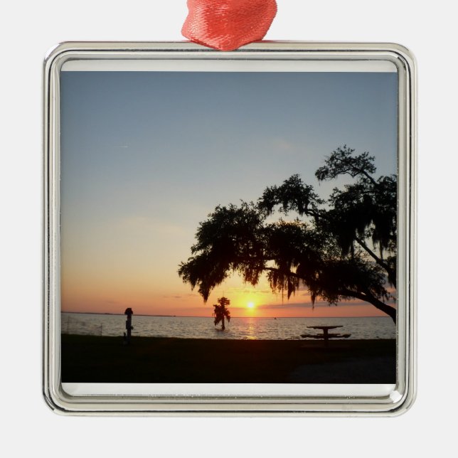 Custom Products Metal Ornament (Front)