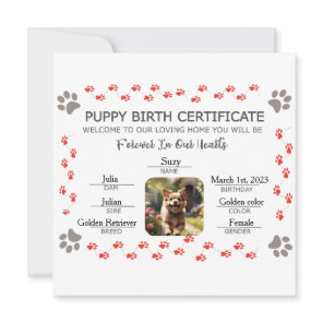 Custom Puppy Birth Certificate Holiday Card