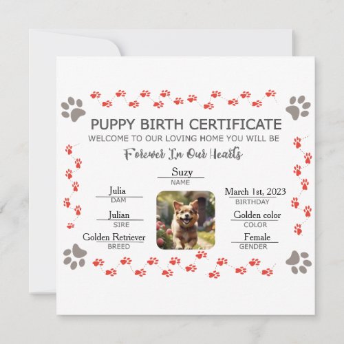 Custom Puppy Birth Certificate Holiday Card