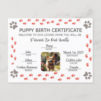 Custom Puppy Birth Certificate Holiday Postcard