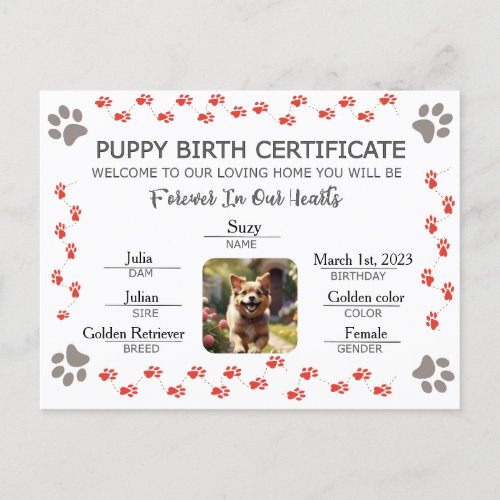 Custom Puppy Birth Certificate Holiday Postcard