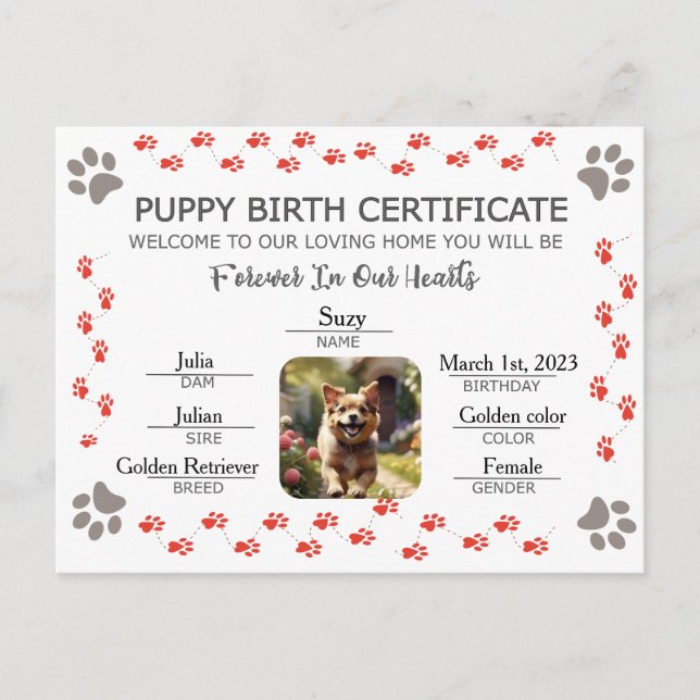 Custom Puppy Birth Certificate Holiday Postcard (Front)