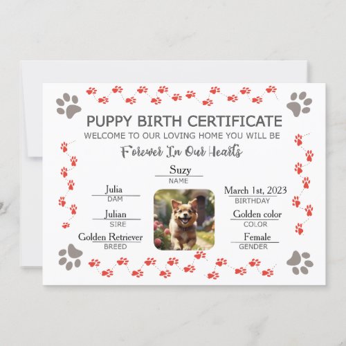 Custom Puppy Birth Certificate Invitation