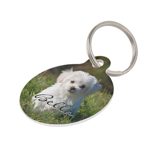 Custom Puppy Dog Personalized Photo Name Number Pet ID Tag